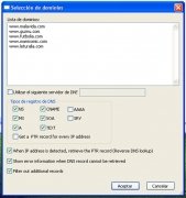 DNSDataView  1.35 Espa�ol imagen 2