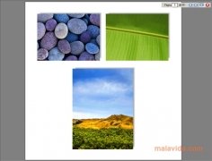 Editor MyPhotoFun 4.3.2.21044 Español imagen 4 Editor MyPhotoFun 4.3.2.21044 Español imagen 4