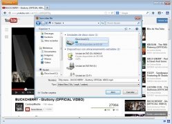Fast Video Download  4.1.6 imagen 2