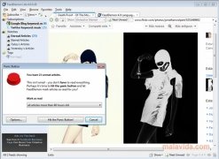 FeedDemon  4.1.0.0 imagen 3