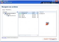 File Recover  8.0.0.39 Espa�ol imagen 2