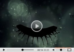 Flowplayer  3.2.7 imagen 4