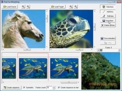 Free Fun Morphing  2.1 imagen 3