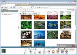 Google Pack 2.4.2166.3772 Beta Español imagen 2 Google Pack 2.4.2166.3772 Beta Español imagen 2