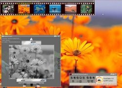 HomeGallery  3.0 imagen 3