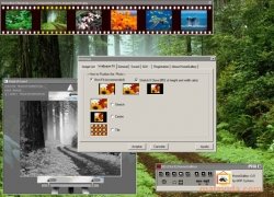 HomeGallery  3.0 imagen 4