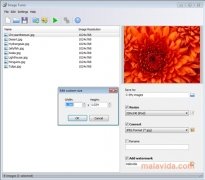 Image Tuner  2.2 imagen 4