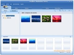 InterVideo MediaOne Gallery  Gold/Platinum Espa�ol imagen 4