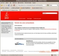Java  SE Runtime Environment 7 Update 21 Espa�ol Linux imagen 1