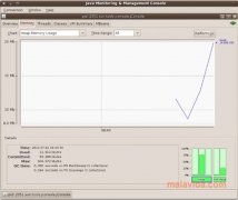 Java  SE Runtime Environment 7 Update 21 Espa�ol Linux imagen 2