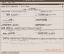 Java  SE Runtime Environment 7 Update 21 Espa�ol Linux imagen 3