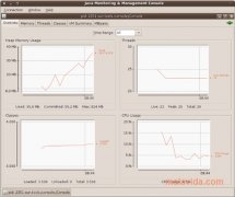 Java  SE Runtime Environment 7 Update 21 Espa�ol Linux imagen 4