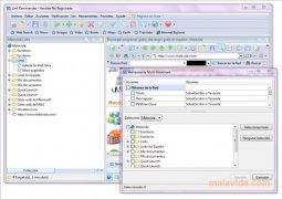 Link Commander  Standard 4.6.4.1215 Espa�ol imagen 4