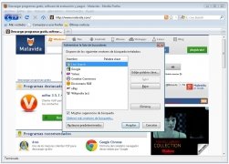Live Search  20090701 Espa�ol imagen 4