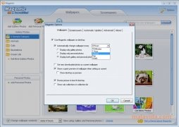 Magentic  1.3.1.967 imagen 4