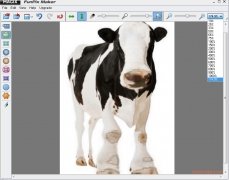 Magix FunPix Maker  1.0.0.0 imagen 2