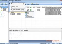 Mass Downloader  3.9.854 Espa�ol imagen 4