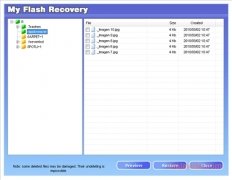 My Flash Recovery  2.1 imagen 3