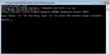 MySQL 6  .0.11 Alpha imagen 3