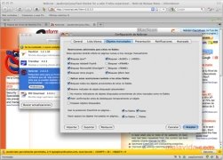 NoScript  2.4.2 Espa�ol imagen 4