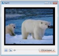 PeerTV  2.1.0.07 Espa�ol imagen 4