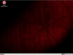 Peppermint Ice  imagen 1