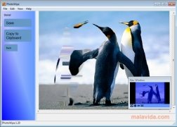 PhotoWipe  1.20 imagen 2