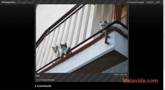 Picoplog  0.10.1 Alpha imagen 2