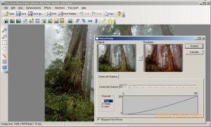 Pos Free Photo Editor  1.38 imagen 3