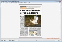 QuarkCopyDesk  9.0 Test Drive Espa�ol imagen 2