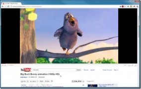 Smart Video Enlarger for YT  1.1.1 imagen 4