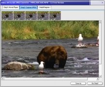 Video-AVI to GIF/JPEG Converter  3.1 imagen 2