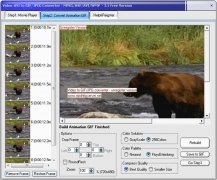 Video-AVI to GIF/JPEG Converter  3.1 imagen 4