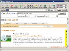 Web Translator  8.23 Espa�ol imagen 2