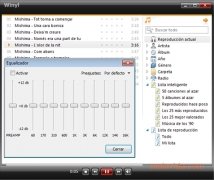 Winyl  2.8.6 Espa�ol imagen 2