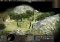 0 A.D. image 5 thumbnail