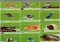 123D Catch Android image 1 thumbnail