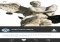 123D Catch Android image 4 thumbnail