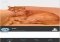 123D Catch iPhone image 2 thumbnail