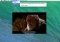 1Player Mac image 3 thumbnail