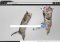1stBrowser image 4 thumbnail