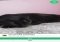 360 Panorama Android image 3 thumbnail