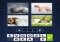 4 Images 1 Mot iPhone image 5 thumbnail