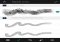 Adobe Brush Android image 4 thumbnail