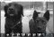Adobe Photoshop Express image 4 thumbnail