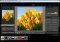 Adobe Photoshop Lightroom image 3 thumbnail