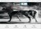 Adobe Photoshop Mix iPhone image 4 thumbnail