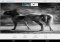 Adobe Photoshop Mix Android image 4 thumbnail