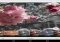 Adobe Photoshop Mix Android image 5 thumbnail