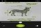 Adobe Shape iPhone image 1 thumbnail